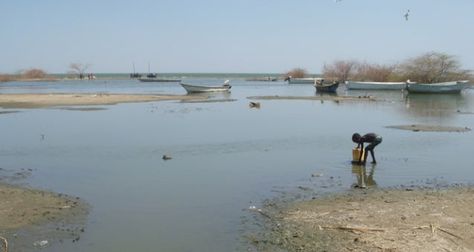 Drying Up Of Lake Chad, A Major Climate Change Disaster In Africa - UN Lake Chad, United Nations General Assembly, Peace And Security, Folk Tales, Natural Health, Entertainment News, Over The Years, Lake, Entertainment