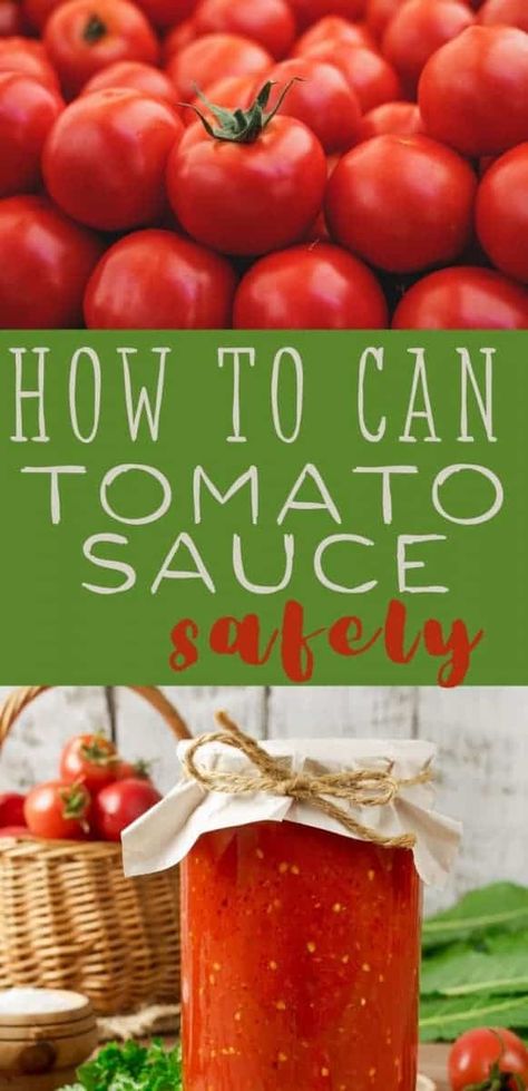 Turn your fresh garden tomatoes into wonderful tomato sauce with this simple water bath canning recipe! #canning #tomatoes #sauce #waterbath #foodpreservation Waterbath Canning Recipes, Recipe For Tomato Sauce, Canning Tomatoes Water Bath, Cherry Tomato Pasta Sauce, Canning Cherry Tomatoes, Canning Tomatoes Recipes, Water Bath Canning Recipes, Can Tomato Sauce, Canned Spaghetti Sauce