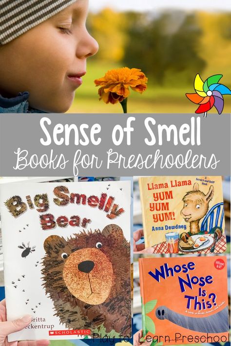 The Best Sense of Smell Books for Preschoolers Preschool Sense Of Smell, Five Senses Books Preschool, Preschool Books And Activities, 5 Senses Activities For Preschoolers, Preschool Senses, Books For Learning, Five Senses Preschool, Best Toddler Books, 5 Senses Activities