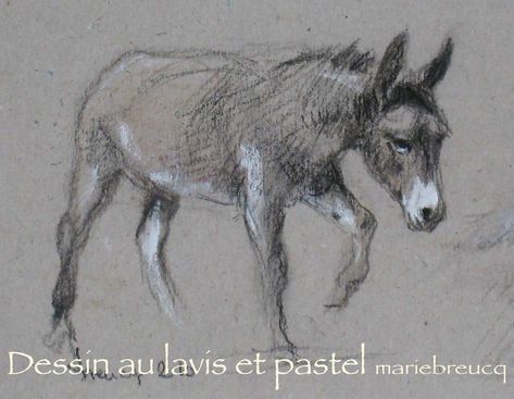 âne : Tous les messages sur âne - DESSINS & LOULOU Crayons Pastel, Cute Donkey, Semi Realism, Art Journal Inspiration, Christmas Projects, Ink Art, Journal Inspiration, Pretty Art, Christmas Art