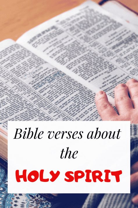 The Holy Spirit is a game-changer for believers. It comes into you as a gift and transforms you into a new creature. The way you think, the words you say, and your lifestyle changes overnight. Your goal changes too. You are more concerned about God’s kingdom than anything else in the world. I have had … The post Bible Verses About The Holy Spirit: Important Scriptures appeared first on The Faithful Christian. Holy Spirit Quotes, Year Goals, Spirit Of Truth, Bible Study Methods, Words Of Jesus, Names Of Jesus Christ, Spirit Quotes, Study Methods, New Creation