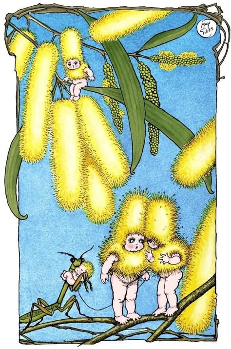 'Wattle Babies are wiser than humans, for they all dress alike - Boys and Girls, Uncles and Aunts - all in the same convenient clothes ' - May Gibbs , Wattle babies 💛 This original May Gibbs artwork is titled ‘A Careful Nurse’ Gumnut Illustration, Gumnut Babies, May Gibbs, In The Night Garden, The Night Garden, Australian Flora, Night Garden, Slow Dance, Flora Fauna