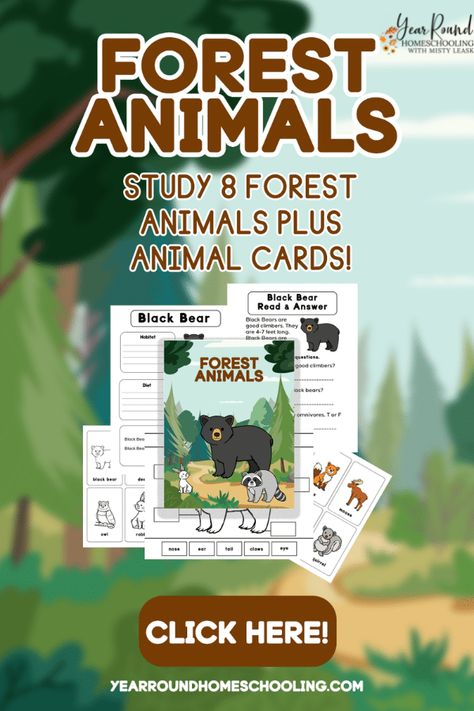 Before heading into the woods with your little ones to check out all of the woodland animals, have them complete this Forest Animals Study. #ForestAnimals #Animals #AnimalStudy #Printable #Homeschool #Homeschooling #YearRoundHomeschooling Woodland Animals Lesson Plan, Forest Animals Preschool Lesson Plans, Forest Animal Unit Study, Homeschool Forest School, Forest Animals Books Preschool, Study Pack, Elementary Printables, Free Homeschool Curriculum, Homeschool Routine