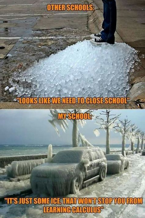 School weather shutdown Canada Memes, Memes In Real Life, Clean Memes, School Jokes, Funny School, Funny School Jokes, School Memes, Crazy Funny Memes, Memes Humor