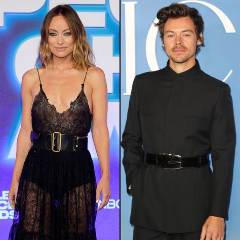 Olivia Wilde Is Still ‘Very Much Upset’ Over Harry Styles Split Olivia Wilde Harry Styles, Harry Styles Olivia Wilde, Harry Styles And Olivia Wilde, Olivia Wilde Style, Christian Dior Gowns, Dior Gown, Hollywood Couples, Vogue Dress, Hollywood Icons