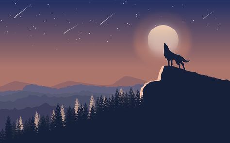 Wolf Quest, Study Artwork, Wolves Art, Home Screen Lock Screen, 4k Desktop Wallpapers, 1366x768 Wallpaper Hd, Bicycle Tattoo, Vector Landscape, Pro Wallpaper