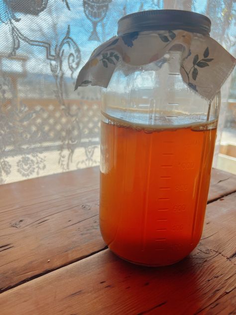 Homemade Kombucha with a Homemade SCOBY - Little Mountain Ranch How To Make Scoby, Make Your Own Kombucha, Diy Kombucha, Kombucha Recipes, Make Kombucha, Kombucha Starter, Ranch Recipes, Kombucha Scoby, Gallon Glass Jars