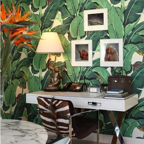 10 Banana Leaf Wallpaper Instagrams to Celebrate the Coming of Spring Martinique Wallpaper, Tropical Style Interior, Tropical Interior, Banana Leaf Wallpaper, Palm Beach Style, Palm Wallpaper, Classic Wallpaper, Estilo Tropical, Banana Print