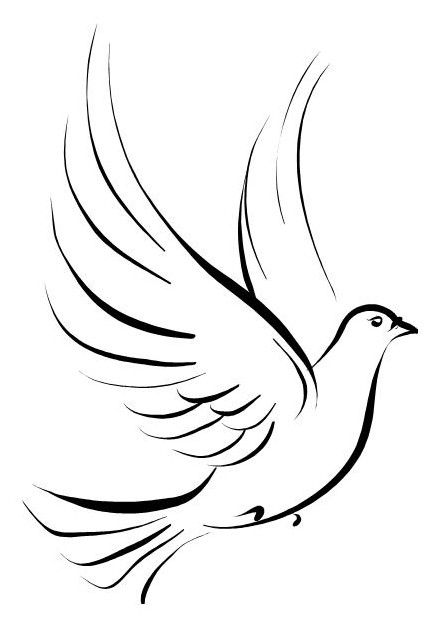 If I ever got a tattoo--this in white ink w/olive branch, on my shoulder. To symbolize, I'm at peace and always new beginnings. Small Dove Tattoos, Pigeon Tattoo, Dove Tattoos, Seni Arab, Dove Tattoo, Bird Flying, White Dove, Memorial Tattoos, White Bird