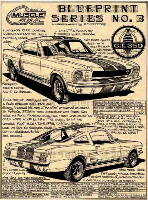 Mustang 66, Hotrod Art, Mustang Art, Mustang Classic, Shelby Gt 500, Transportation Art, Vintage Mustang, Shelby Mustang, Auto Retro