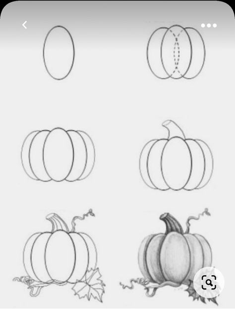 Mini Pumpkin Drawing, Pumkin Drawing Step By Step, Drawing A Pumpkin Step By Step, Pumpkin Drawing Tutorial, Punkin Drawings, Drawing Pumpkins Step By Step, Pumpkin Sketch Simple, How To Draw A Pumpkin Step By Step Easy, Pumkin Drawing Cartoon