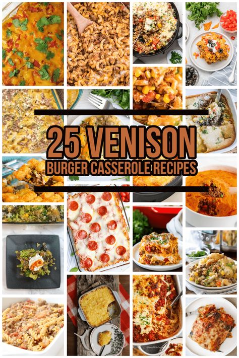 Healthy Meals With Ground Venison, Deer Meat Casserole Recipes, Ground Venison Casserole Recipes, Venison Freezer Meals, Meals With Ground Venison, Dinner Ideas With Deer Meat, What To Make With Venison Burger, Ground Venison Recipes Healthy, Canned Venison Recipes