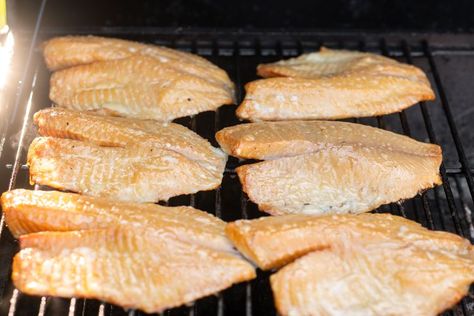 Smoked Tilapia Recipe Smoked Tilapia, Tilapia Fillet Recipe, How To Cook Tilapia, Pork Spices, Traeger Grill Recipes, Tilapia Fish Recipes, Tilapia Recipe, Spiced Vegetables, Pellet Grill Recipes