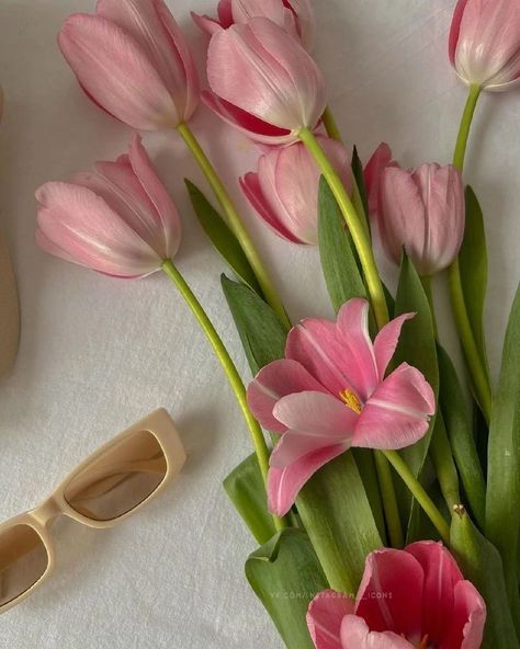 Opened Tulips, Rebeca Core, Open Tulips, Vintage Flowers Wallpaper, Boquette Flowers, Flower Shower, Nothing But Flowers, Flower Therapy, Pink Themes