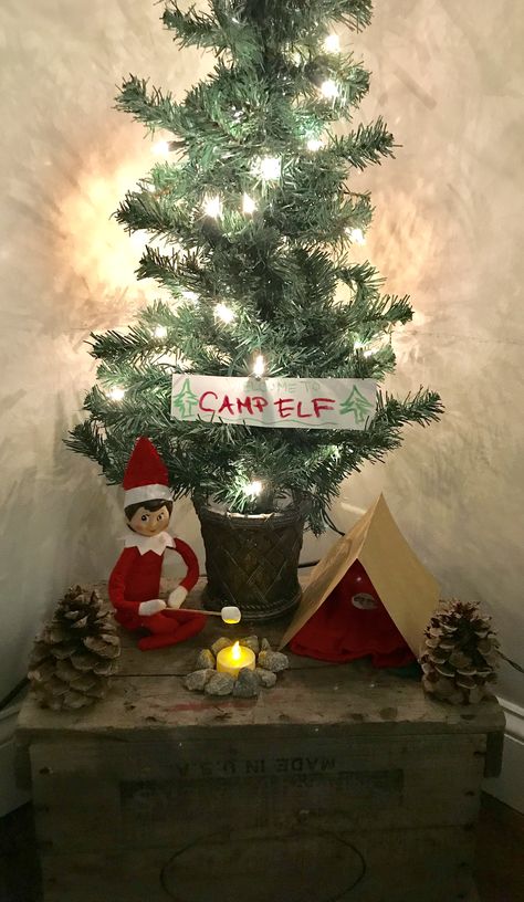 Elf Camping Ideas, Elf On The Shelf Campfire, Elf On The Shelf Christmas Tree Farm, Elf Camping, Elf On The Shelf Camping, Bookstore Window, Elf Shenanigans, Elf Ideas, Christmas Tree Farm