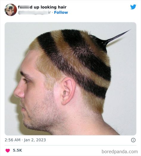 This Twitter Page Shares Photos Of ‘Effed Up Looking Hair’, And Here Are 40 Of The Most Hilarious Pics Horrible Haircuts, Weird Haircuts, World Hair, Bad Haircut, Flat Hair, Creative Hairstyles, Short Hair With Bangs, Buzz Cut, Hair Humor