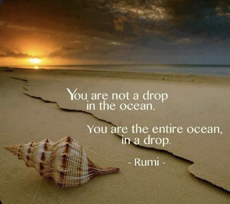 A Drop In The Ocean, Rumi Poem, Sufi Mystic, My Purpose In Life, Ocean Quotes, Rumi Quotes, Interesting Quotes, Insightful Quotes, Super Quotes