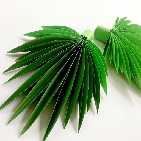 239 Likes, 9 Comments - PAPER FLOWERS  (@candy_tree_baltimore) on Instagram: “Palm leaves for your decor” School Disco, Origami Leaves, Candy Trees, Paper Leaf, Deco Jungle, Picture Tutorial, Paper Plants, Paper Leaves, Paper Flowers Craft