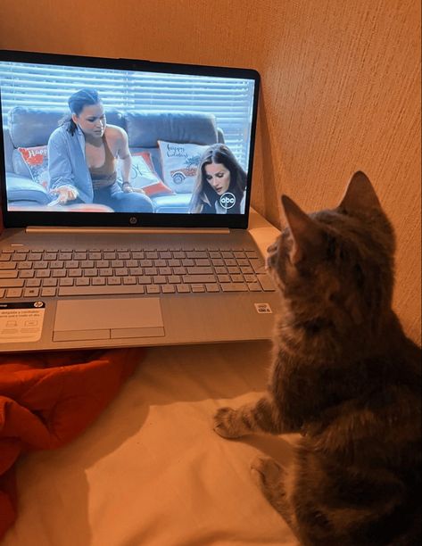 cat watching station 19 greys anatomy credits to @ cvrizona on twitter Watching Greys Anatomy, Watch Greys Anatomy, Cat Watch, Station 19, Greys Anatomy, You And I, Anatomy, Amsterdam, On Twitter