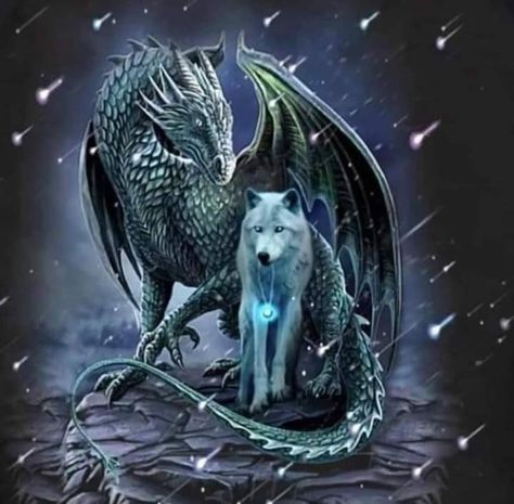 Mystical Creatures Mythology, Wolf Art Fantasy, Dragon Wolf, Mythical Creatures Fantasy, Wolf Artwork, Fantasy Wolf, Dragon Artwork Fantasy, Spirit Animal Art, Wild Animals Pictures