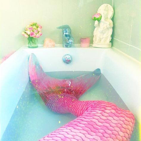 463 Followers, 100 Following, 46 Posts - See Instagram photos and videos from @mythical_menagerie Coconut Dream, Mermaid Lagoon, Catty Noir, Unicorns And Mermaids, Mermaid Aesthetic, Mermaid Dreams, Pink Mermaid, Mermaids And Mermen, Mermaid Life