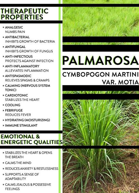 Field Of Lavender, Palmarosa Essential Oil, Young Living Essential Oils Recipes, Yl Oils, Living Essentials Oils, Young Living Oils, Doterra Oils, Oil Diffuser Blends, Oil Uses