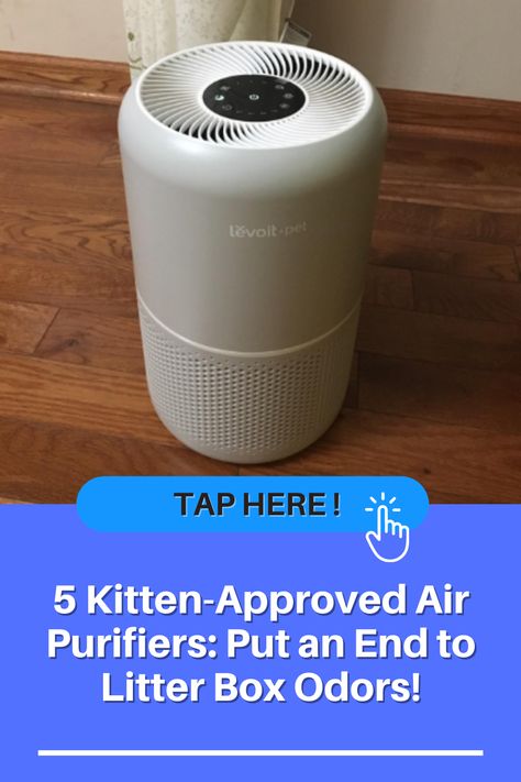 best air purifier for cat litter Cat Litter Box Odor Control, How To Get Rid Of Cat Litter Box Smell, Air Purifier For Pets, Cat Litter Smell Get Rid Of, Odor Eliminator House, Litter Box Odor Control, Odor Eliminator Diy, Cat Odor Eliminator, Cat Litter Smell