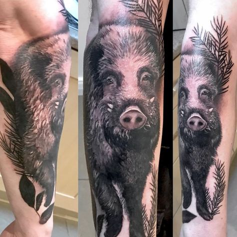 Wild boar Tattoo, boar tattoo, boar tattoo designs, japanese boar tattoo, traditional boar tattoo, traditional japanese boar tattoo, princess mononoke boar tattoo, neo traditional boar tattoo, american traditional boar tattoo, viking boar tattoo, wild boar tattoo meaning, norwegian wild boar tattoo, boar tattoo sketch, lions and boar tattoo, rose boar tattoo, pictish boar tattoo, wild boar tattoo designs, wild boar tattoo asian, gaelic celtic boar tattoo, cool chinese boar tattoo Wild Boar Tattoo Design, Traditional Boar Tattoo, Boar Tattoo Design, Wild Boar Tattoo, Boar Tattoo, Tattoo Designs Japanese, Tattoo American Traditional, Daniel Tattoo, Hunting Art