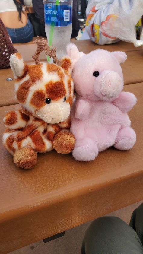 Besties, friend photos, pig, giraffe, animal profile photos, cute stuffed animal, mini plushies, reaction photos, couple reaction photo Couples Stuffed Animals, Matching Couple Stuffed Animals, Couple Stuffed Animals, Couple Plushies, Matching Plushies, Reaction Photo, Mini Plushies, Pig Plushie, Reaction Photos