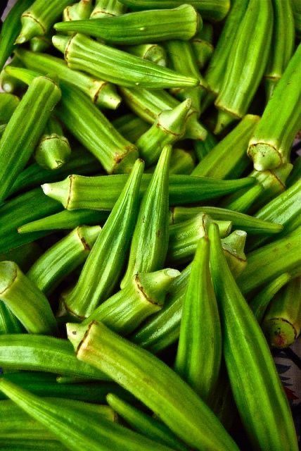 Steam Okra, Okra Health Benefits, Okra Benefits, Fruits And Vegetables Pictures, Vegetables Photography, Vegetable Pictures, Fruit Photography, Caribbean Recipes, Exotic Fruit