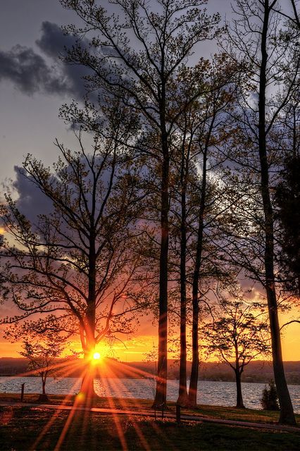 Guntersville Alabama, Jefferson County, Vacation Memories, Sweet Home Alabama, Gulf Of Mexico, Lake Life, White Sand Beach, Live Light, Sunrise Sunset