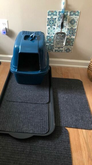 Cat Litter Box Organization, Car Litter Box Hidden Diy, Cat Litter In Closet, Litter Scoop Holder Diy, Cat Litter Box Area, Litter Box Setup For Multiple Cats, How To Keep Cat Litter Off The Floor, Cat Litter Storage Container, Dollar Tree Cat Ideas