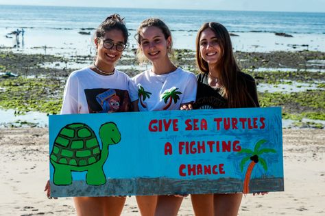 Bali Turtle Conservation Project in Indonesia, Nusa Penida - Changing Worlds Orientation Day, Historical Temples, Mosquito Protection, Turtle Conservation, Crystal Bay, Nusa Penida, Local Area, Sports Activities, Beautiful Islands