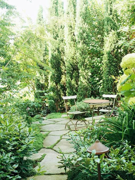 Gardens Design, Small Yard, Patio Stones, Gorgeous Gardens, Green Garden, Landscape Projects, Green Life, Garden Cottage, Small Gardens