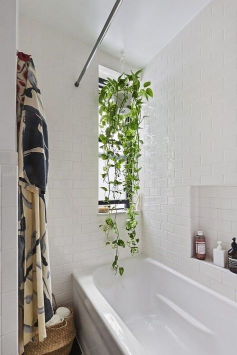 These Photos Make Small Bathrooms Feel Beautiful, Bright, and — Most Importantly — Big Bathroom Greenery, Bathroom Plants Decor, All White Bathroom, Interior Boho, Mold In Bathroom, Shabby Chic Bathroom, Bathroom Plants, Bathroom Windows, Chic Bathrooms