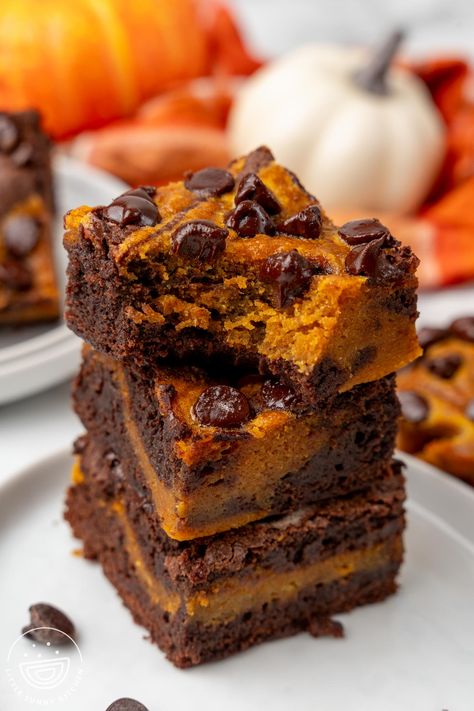 Homemade Pumpkin Brownies, Pumpkin Brownies Recipe, Pumpkin Chocolate Chip Brownies, Pumpkin Brownie Recipes, Pumpkin Brookies, Gf Pumpkin Brownies, Pumpkin Puree Brownies, Pumpkin Brownies With Box Brownies, Fudgy Pumpkin Brownies