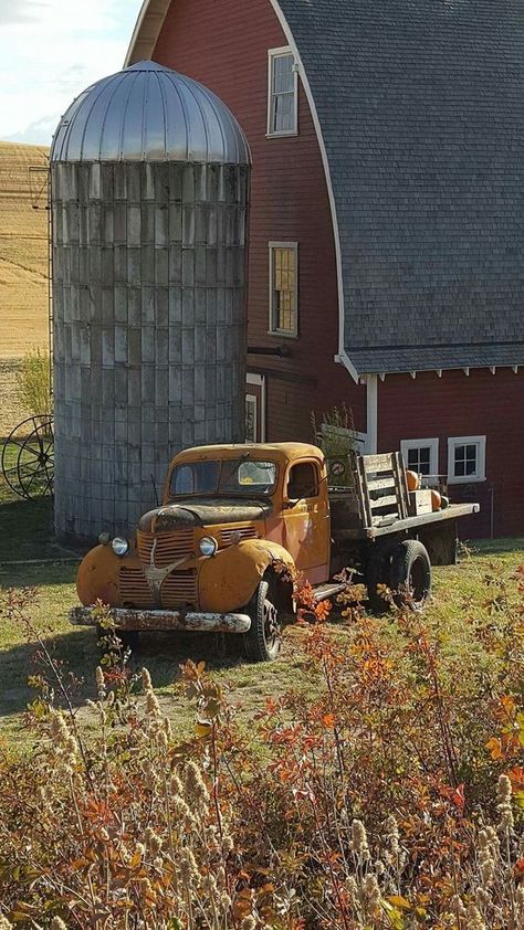 Old Cars Vintage, Barn Pictures, Country Barns, Old Truck, Farm Trucks, Cars Vintage, Farm Barn, Country Scenes, Farms Living