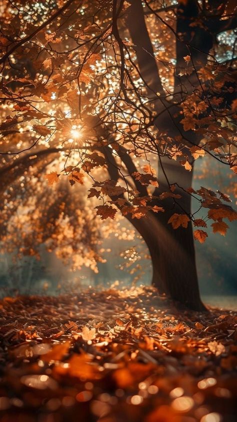 Fall Inspiration Aesthetic, Autumn Pictures Art, Autumn Love Aesthetic, Fall Season Aesthetic, Autumn Pics, Autumnal Flowers, Kosmetyki Mary Kay, Image Aesthetic, Trees Aesthetic