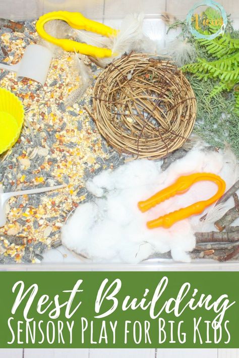 This birds sensory bin uses bird seed as a base and materials for nest building. The birds included in this sensory bin are great for play. #sensory #spd #sensorybin #kidsactivities #preschool #toddlers #birds #birdnest Bird Sensory Bin, Bird Nesting Material, Summer Crafts For Toddlers, Toddler Sensory Bins, Prek Crafts, Preschool Spring, Museum Ideas, Backyard Activities, Nest Building