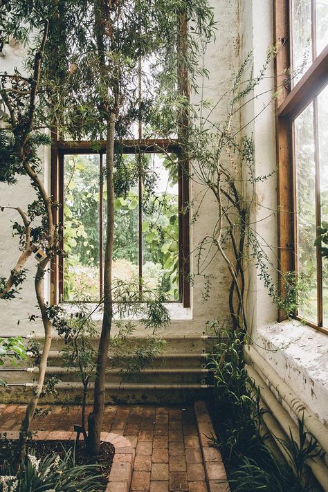 Photo Journal: Sweden | The Future Kept Southern Sweden, Transitional Spaces, Victorian Home Interior, Beautiful Days, Plan Ideas, Botanical Beauty, Photo Journal, Living Wall, Greenhouses