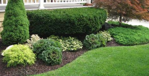 Front Yard Landscaping, Ideas, Pictures - Chester, Berks and Montgomery County Gardening Basics, Landscaping Shrubs, Rubber Mulch, Front Landscaping, Landscape Edging, Home Landscaping, Garden Edging, Deck Ideas, Garden Borders