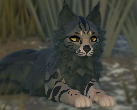 Free Wcue Oc, Warrior Cats Morph Ideas Free, Wcue Morphs Free To Copy, Warrior Cats Roblox Morphs Ideas Free, Wcue Morphs Ideas Free, Morph Ideas Wcue, Wcue Morph Ideas Longhair, Warrior Cat Morphs, Wcue Morph Ideas For Free