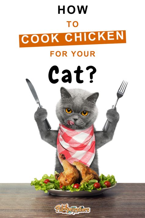 Feline fettuccine? Yes, please! 🐈 Uncover the secret to perfectly cooked, mouth-watering chicken that your kitty will adore. Our expert tips, tricks, and flavorful recipes in 'How To Cook Chicken For Cats? | Purrpetrators' will make you the cat-loving chef of your neighborhood. Chicken Cat Treats Homemade, Recipes With Chicken And Potatoes, Homemade Cat Food, Chicken Cat, Pregnant Cat, Chicken Jerky, Pet Things, Chicken Treats, Canned Cat Food