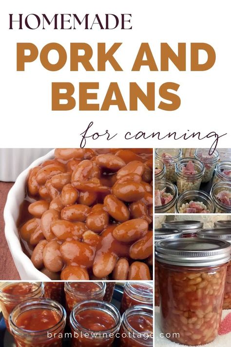 Pressure Canning Pork, Canning Pork, Pressure Canning Green Beans, Pork And Beans Recipe, Canning Beans, Dry Beans Recipe, Pork And Beans, Pressure Canning Recipes, Food Preserving