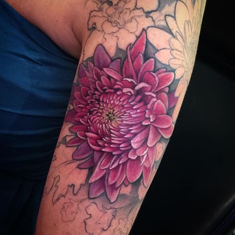 534 Likes, 19 Comments - Jessica Rae Brennan (@jessieraetattoo) on Instagram: “One of many flowers in this half sleeve. Today we did the ever so fun #chrysanthemum 🌺🌸🌷…” Chrysanthemum Tattoos, Colour Shading, Dahlia Tattoo, Unique Half Sleeve Tattoos, Chrysanthemum Tattoo, Devil Tattoo, Fusion Ink, Birth Flower Tattoos, Asian Tattoos