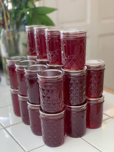 Crafting Homemade Pomegranate Jelly: A Delightful Creation Worth Sharing Liquid Pectin Recipes Jelly, Pomegranate Jelly Homemade, Canning Pomegranate, Substitute For Brown Sugar, Pomegranate Jam, Homemade Nacho Cheese Sauce, Pomegranate Jelly, Pectin Recipes, Homemade Nachos