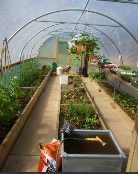 Poly Tunnel Layout, High Tunnel Gardening Layout, Polytunnel Layout Ideas, Green House Layout, Polly Tunnel, Flower Tunnel, Serre Diy, Poly Tunnel, Bed Layout