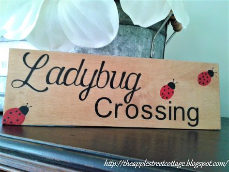 Ladybug Crossing, Crossing Sign, Stencil Vinyl, Acrylic Craft Paint, Light Coat, Contact Paper, Happy Spring, Spring Is Here, I Can't Wait