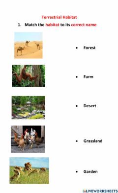 Grade 2 Science, Animal Worksheets, Story Of The World, Animal Habitats, School Subjects, Kindergarten Worksheets, Language English, Habitat, Colorful Backgrounds