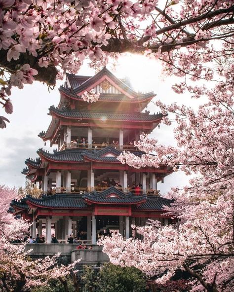 China Temple, Beautiful Temple, Jiangsu China, Japan Aesthetic, Aesthetic Japan, Chinese Architecture, China Travel, Beautiful Places To Travel, Pretty Places